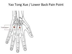 Yao Tong Xue - Lower Back Pain Relief Point